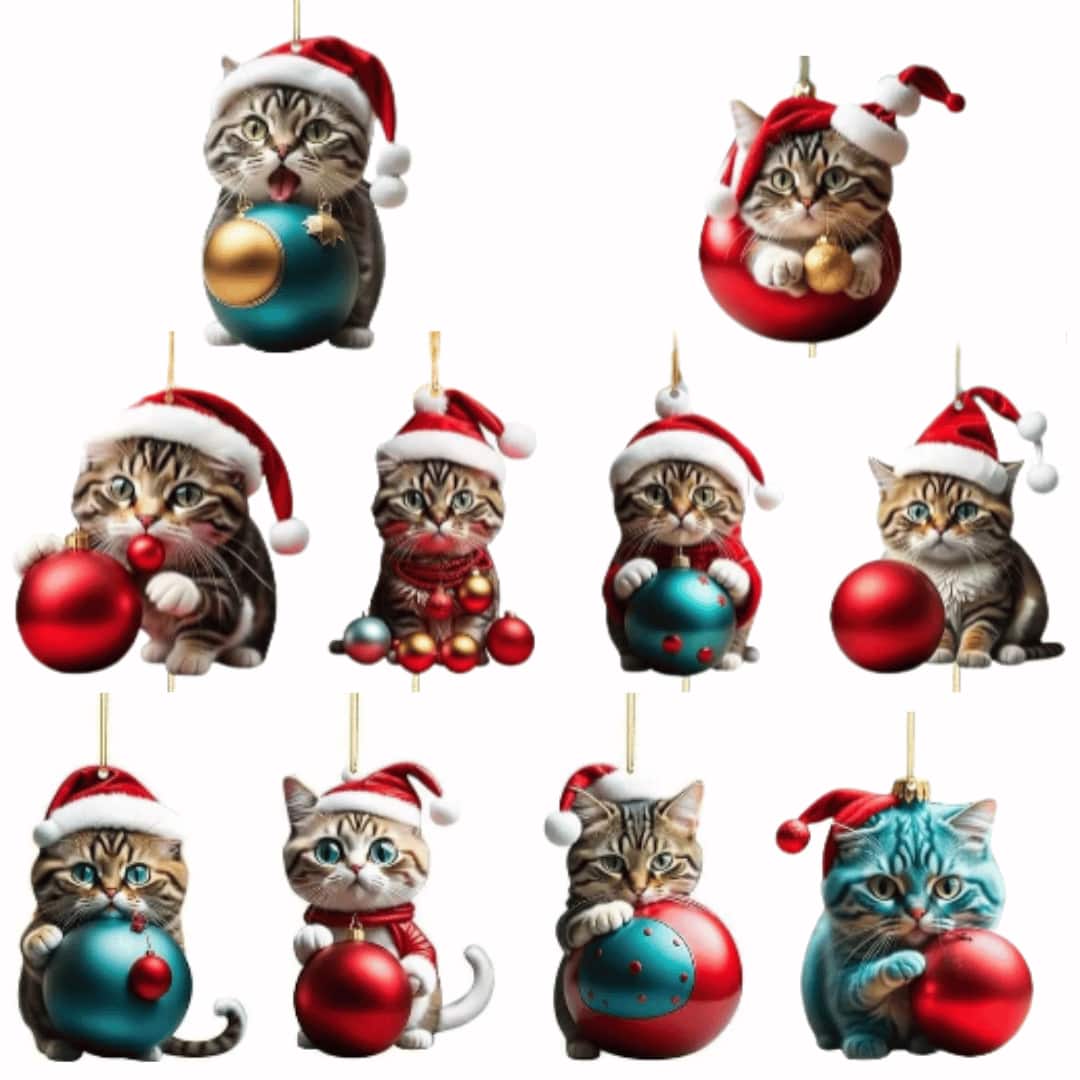 Boules Souvenirs de Noël Félin