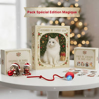 Calendrier de l’Avent Félin à Accrocher – 24 Chats Mignons pour Noël