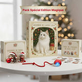 Calendrier de l’Avent Félin à Accrocher – 24 Chats Mignons pour Noël